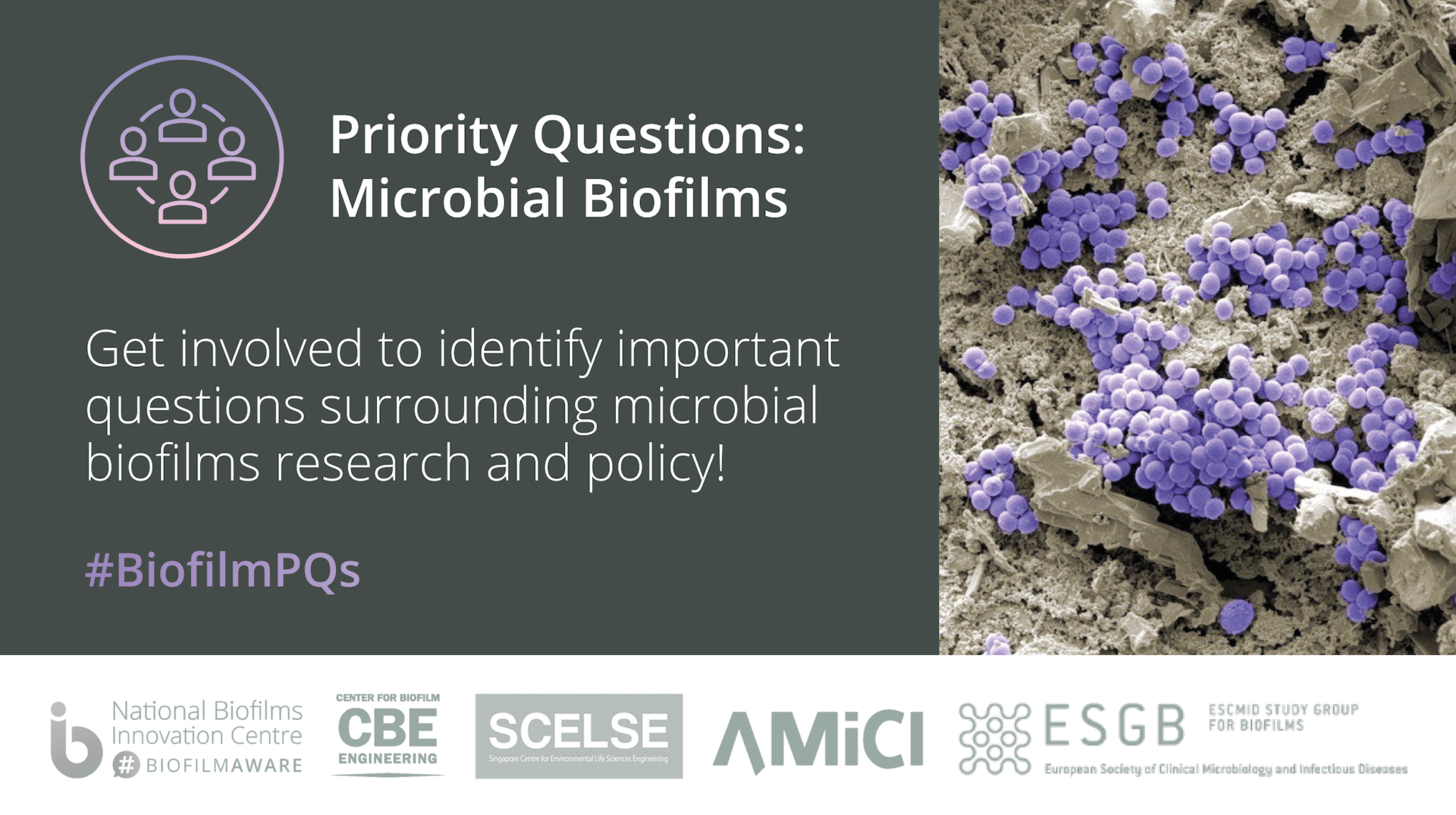 Grow MedTech International Biofilm Centres Launch Priority Questions ...